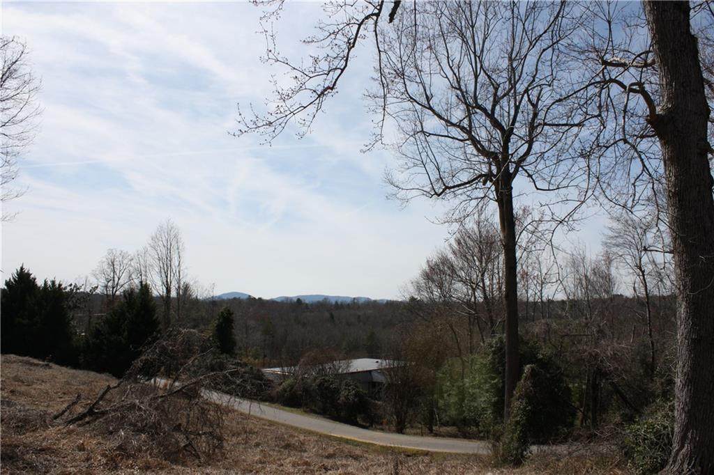 000 Anna Belle Lane - Photo 1
