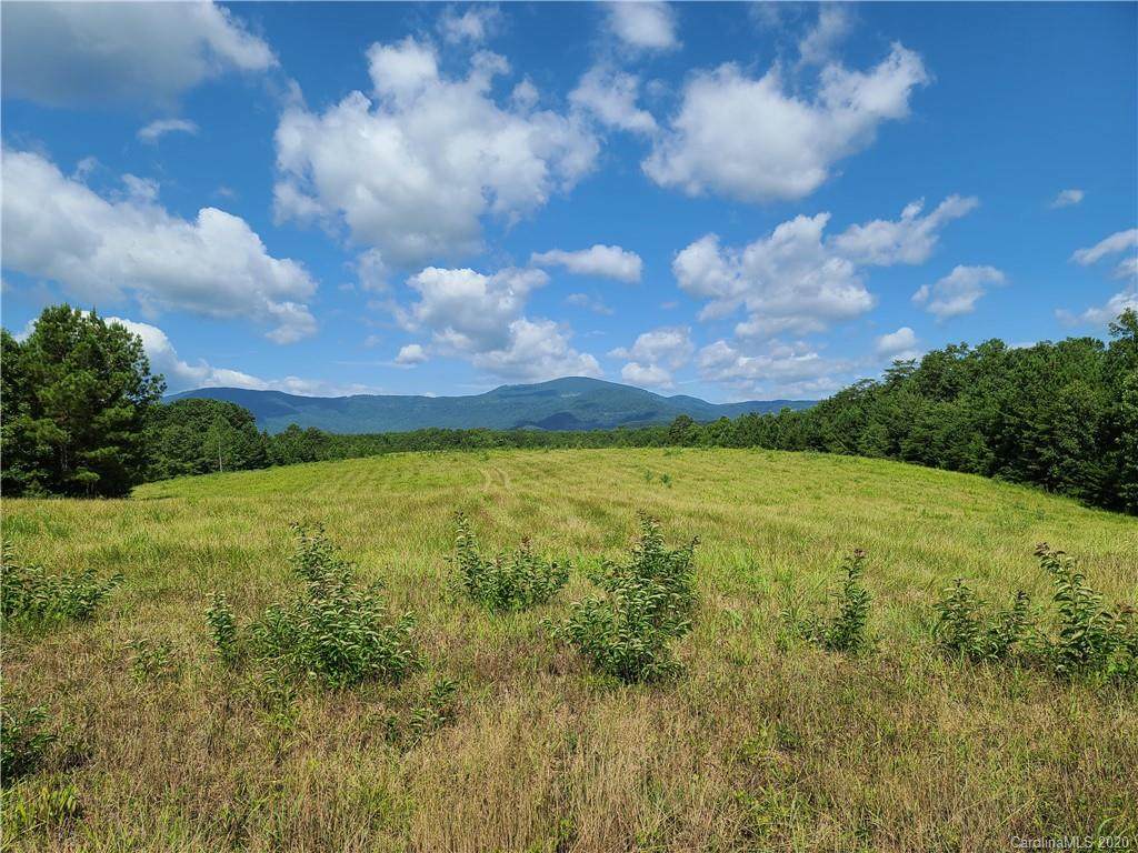 24.17 acres Walnut Falls Lane - Photo 1