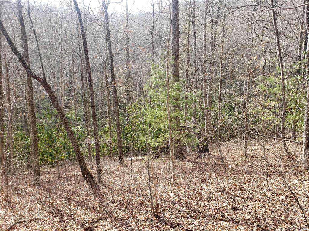Lot 37 Rainbow Trout Drive - Photo 1