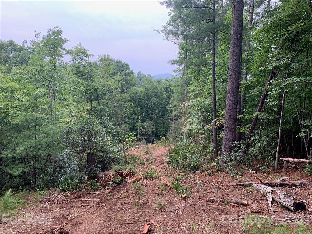 00 Sycamore Drive - Photo 1