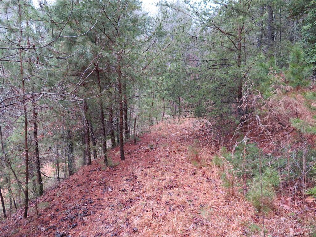 V/L 4 Cedar Ridge Drive - Photo 1