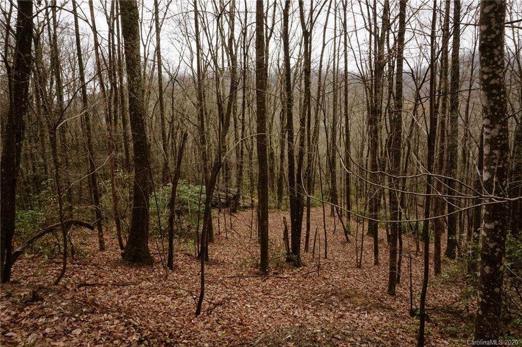 Lot 170 Poplar Drive - Photo 1