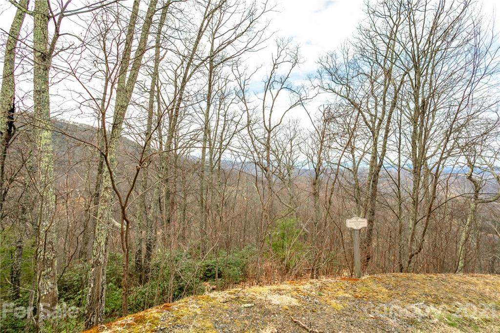 Lot 15 Ball Hooter Drive - Photo 1