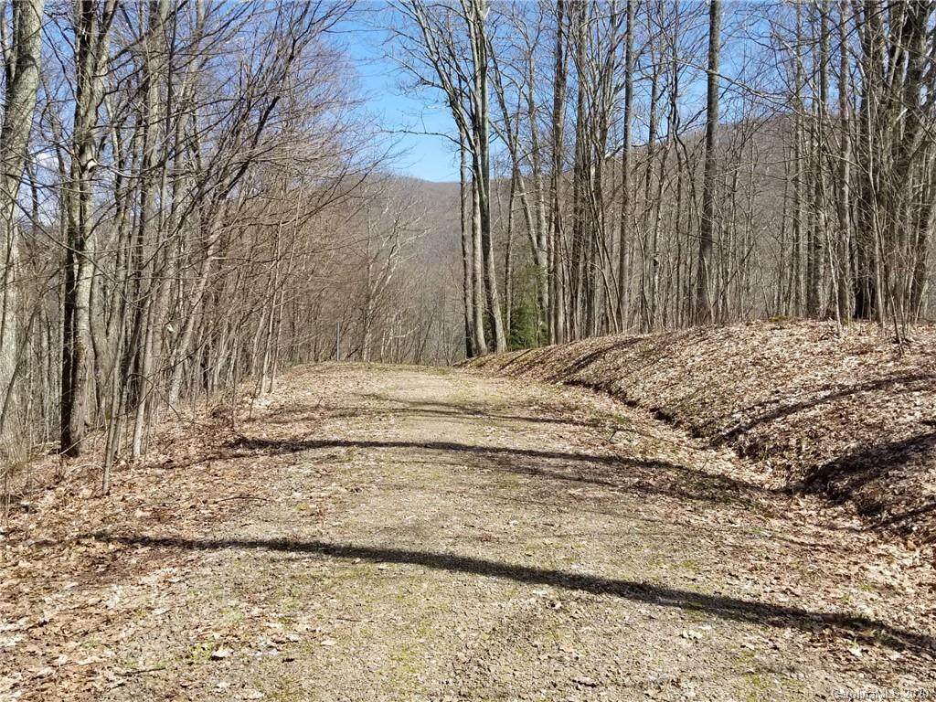 7 Black Bear Lane - Photo 1