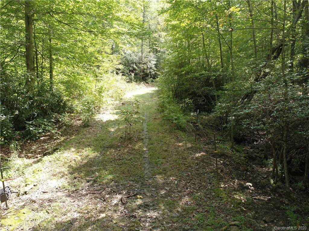 00000 Newfound Road - Photo 1