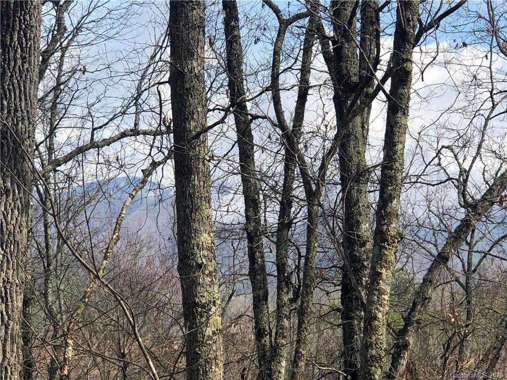 0000 Laurel Branch Road - Photo 1