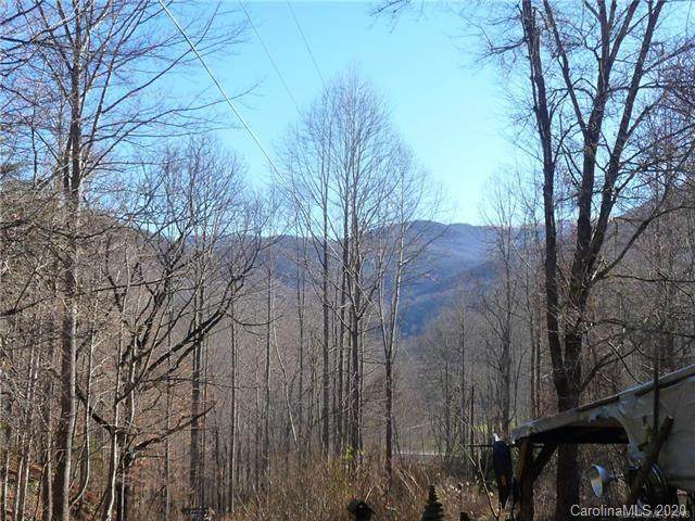 209 Stoney Fork Road - Photo 1