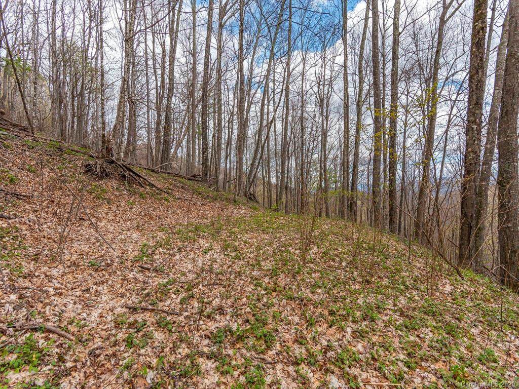 Lot 267 Winding Creek Drive - Photo 1