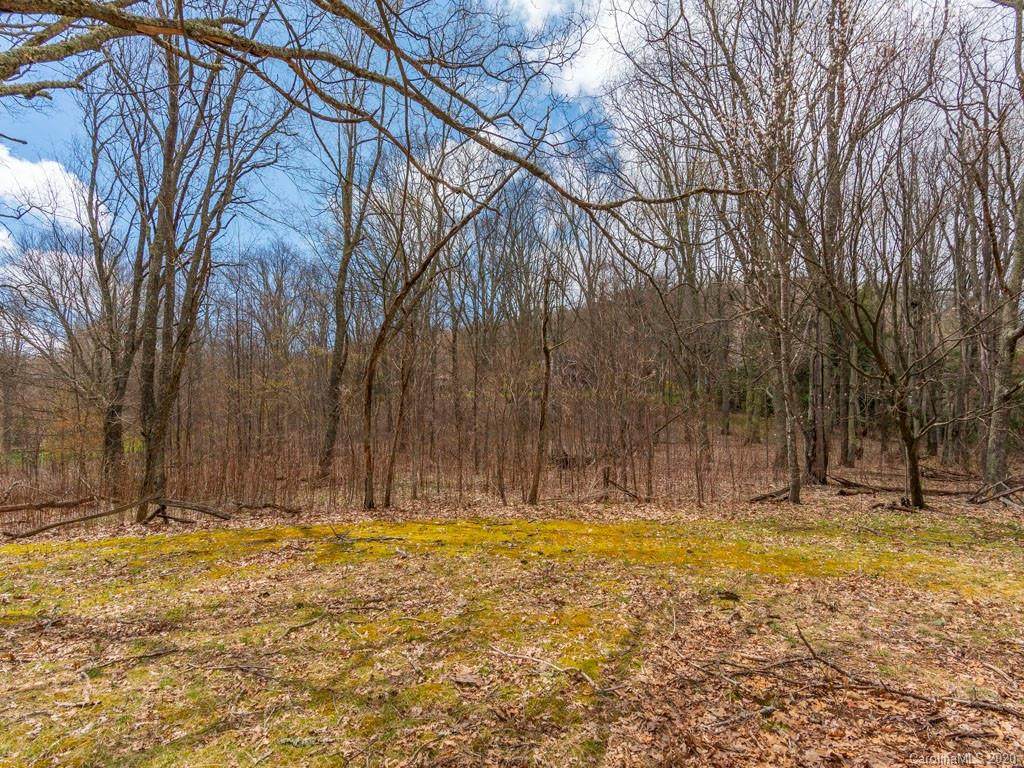Lots 5 & 7 Eagle View Circle - Photo 1