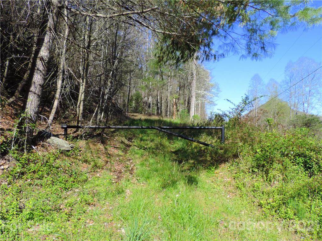 000 Rector Branch Road - Photo 1