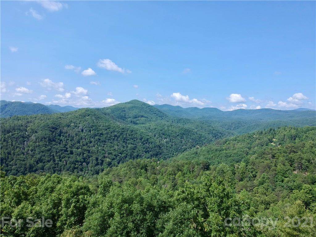 155 Turkey Trot Trail - Photo 1