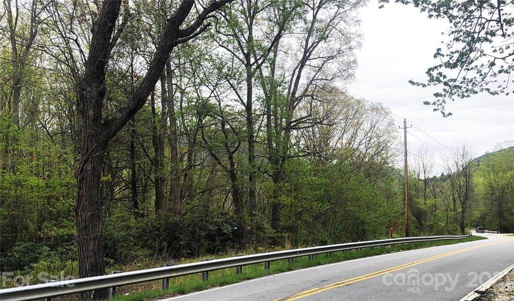 TRACT 1,2 Hwy 221 Highway - Photo 1