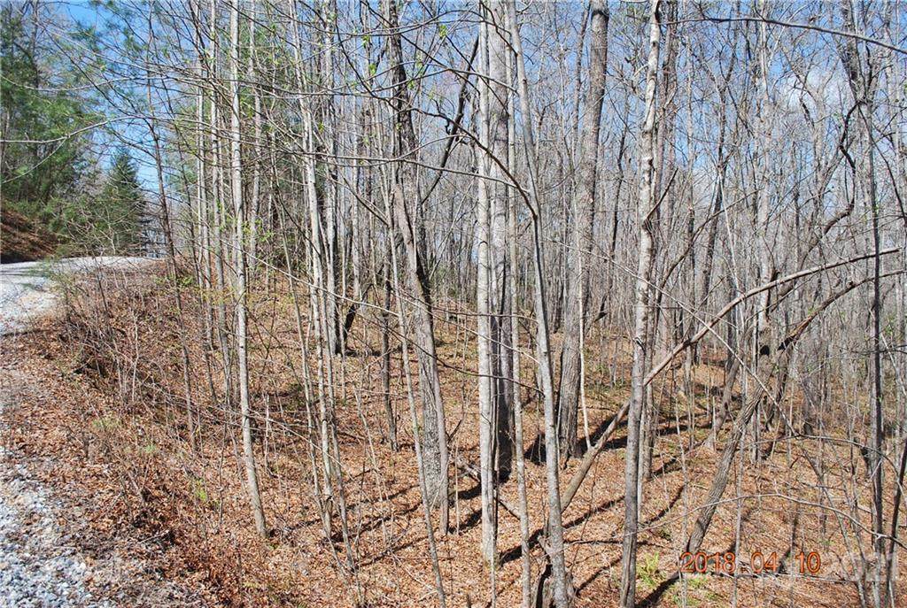 Lots 8-11 Willow Creek Drive - Photo 1