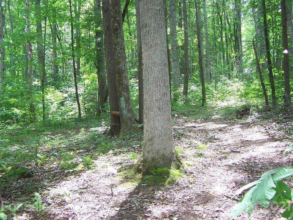 000 Timberline Drive - Photo 1