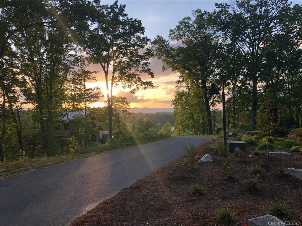 17 Tulip Poplar Trail - Photo 1