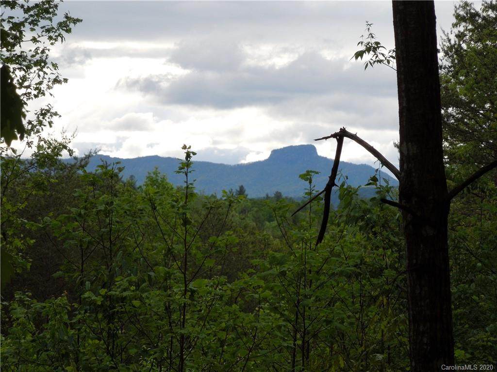 Lot 913 High Valley Way - Photo 1
