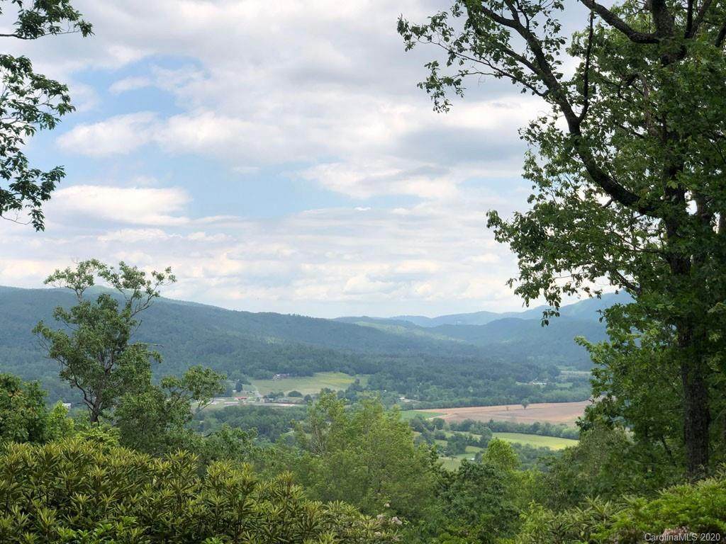 Lot 20 Hawkins Hollow Road - Photo 1