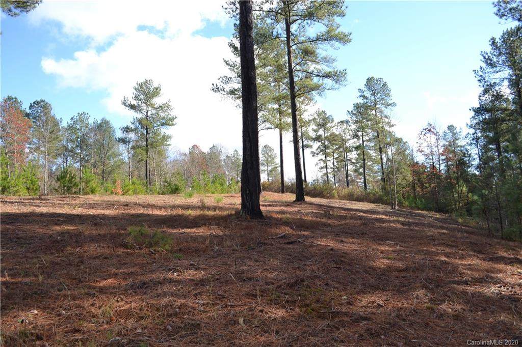 3157 Panoramic Vista Court - Photo 1