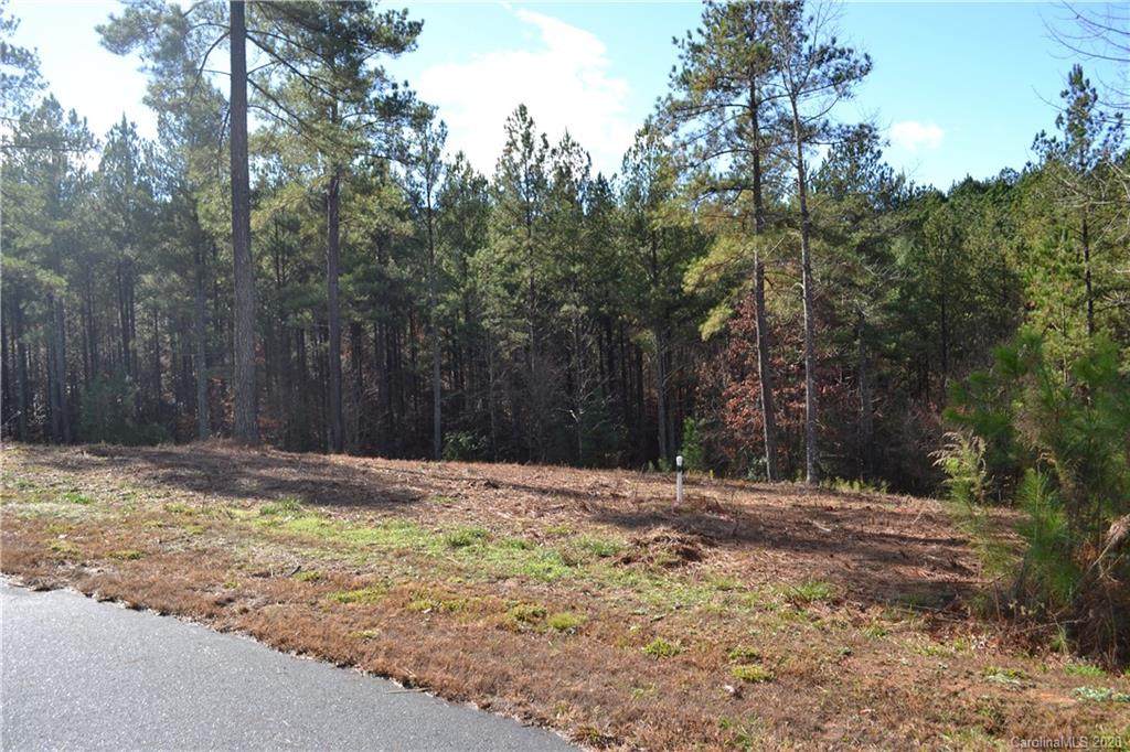 3171 Panoramic Vista Court - Photo 1
