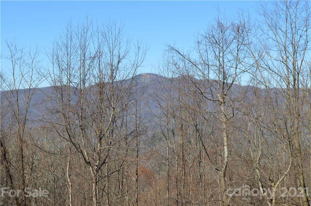 999 Still Spring Road - Photo 1