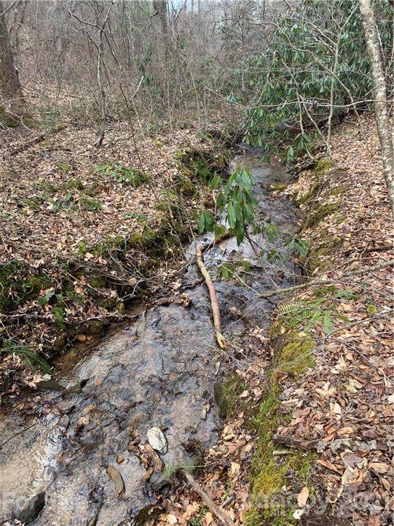 TBD Dix Creek #1 Road - Photo 1
