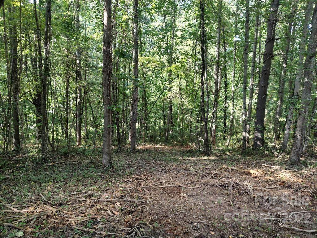 39 Baxter Woods Lane - Photo 1
