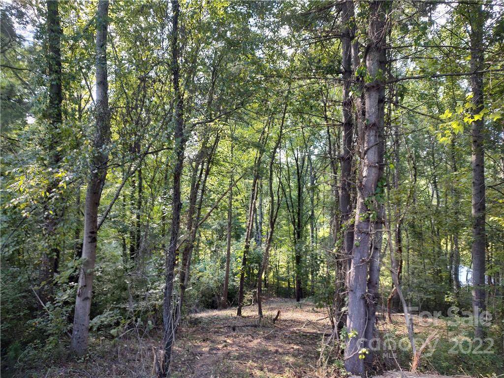 43 Baxter Woods Lane - Photo 1