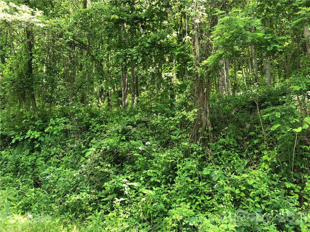 4.59 acres on Wesley Creek Road - Photo 1