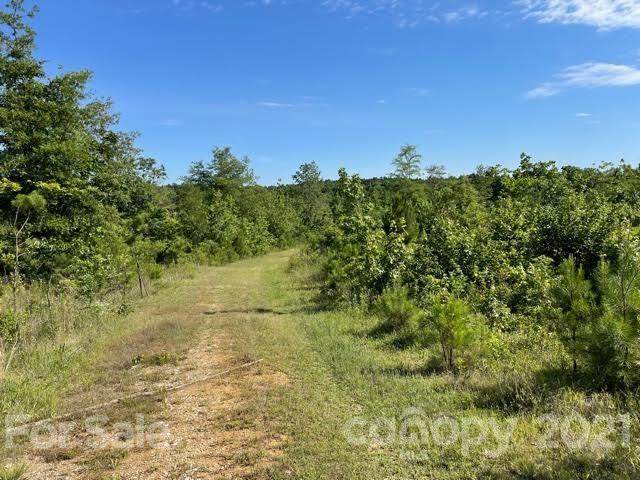 00 Old Farm Road - Photo 1