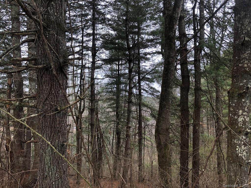 Lot 16 Splitrail Drive - Photo 1