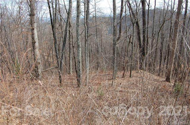 Lot 526 Pear Tree Drive - Photo 1