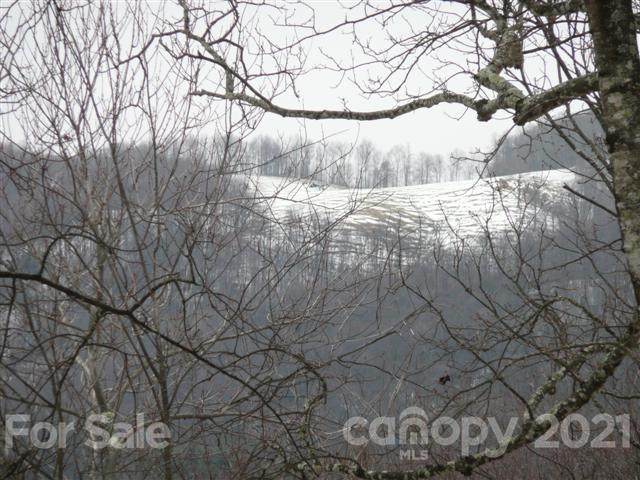 10 acres Sparkling Springs Road - Photo 1