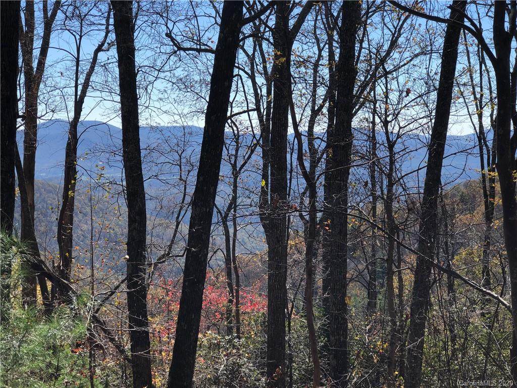 17 acres Chestnut Forest Road - Photo 1