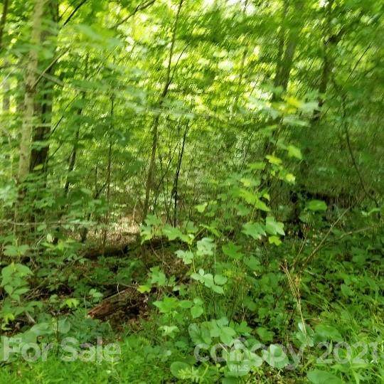 TBD Pack Saddle Drive - Photo 1