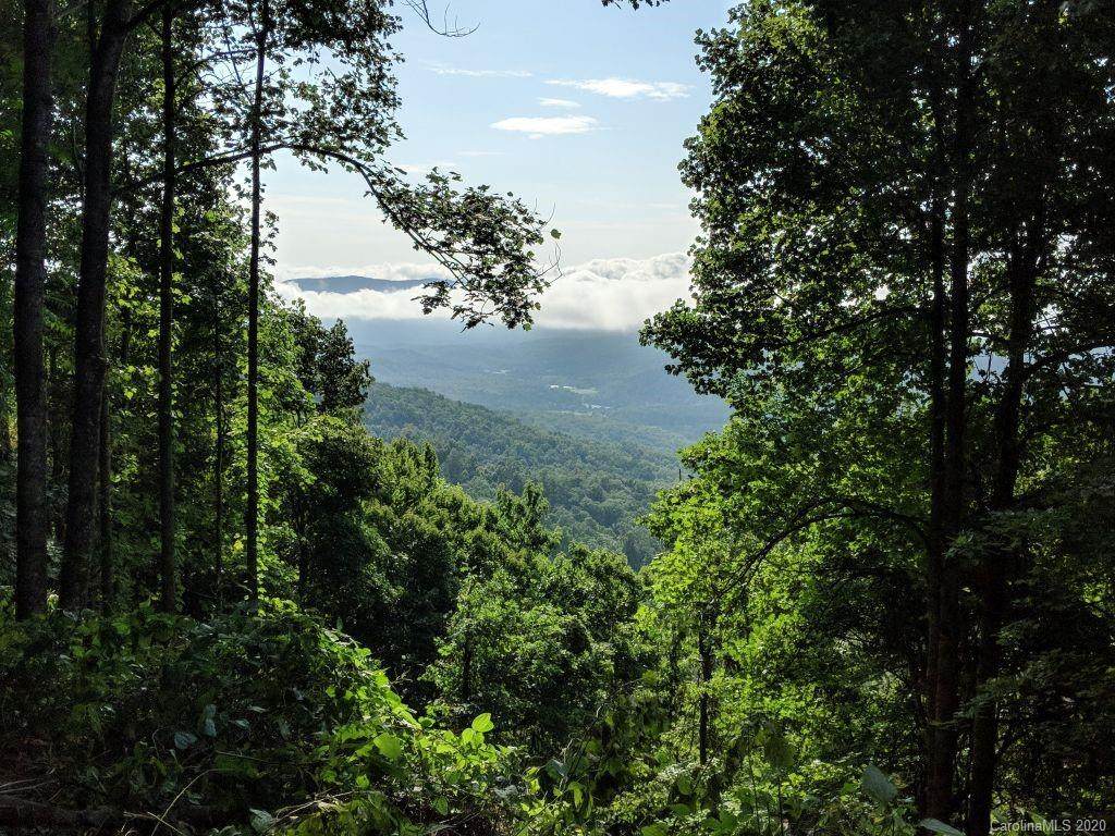 Lot T-46 315 Kalmia Lane - Photo 1