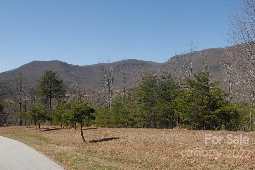 00 Deep Gap Farm Road - Photo 1