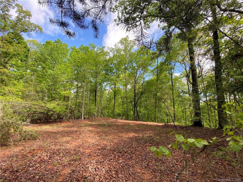 453 River Ridge Parkway - Photo 1