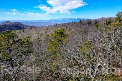 117 Sahalee Trail - Photo 1
