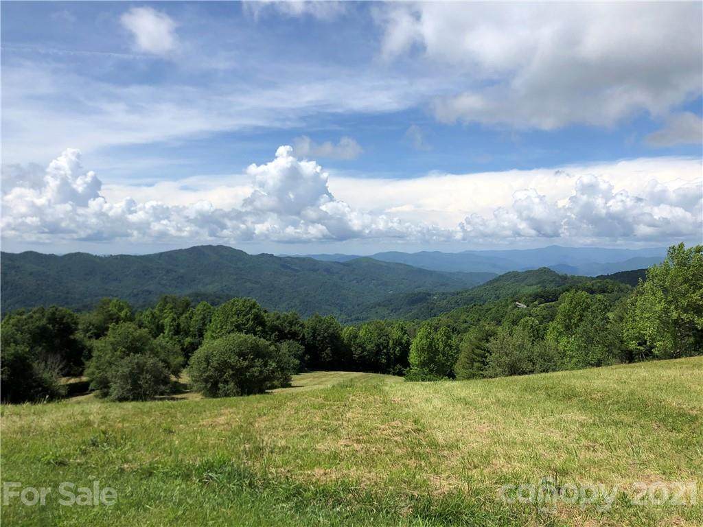 1656 Grasslands Parkway - Photo 1