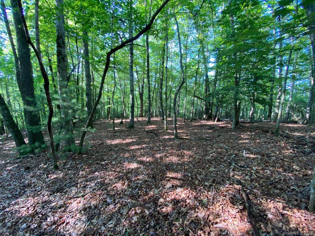 Lot 13 Cantrell Mountain Road - Photo 1