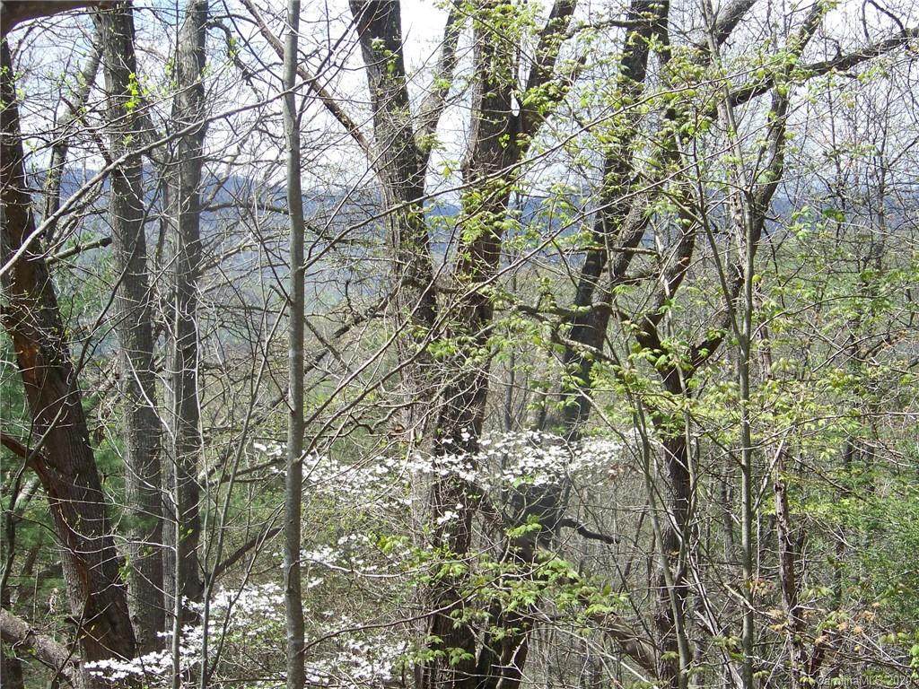 00 Cove Creek Road - Photo 1