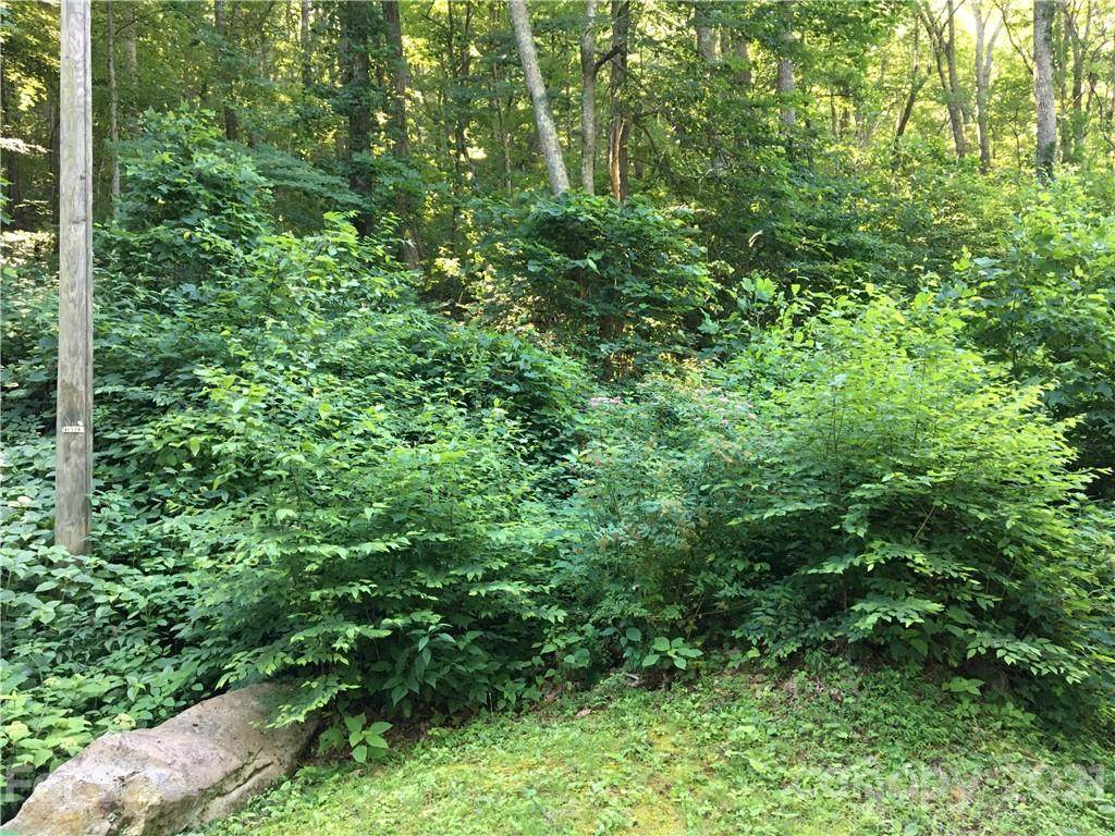 TBD Red Oak Forest Road - Photo 1