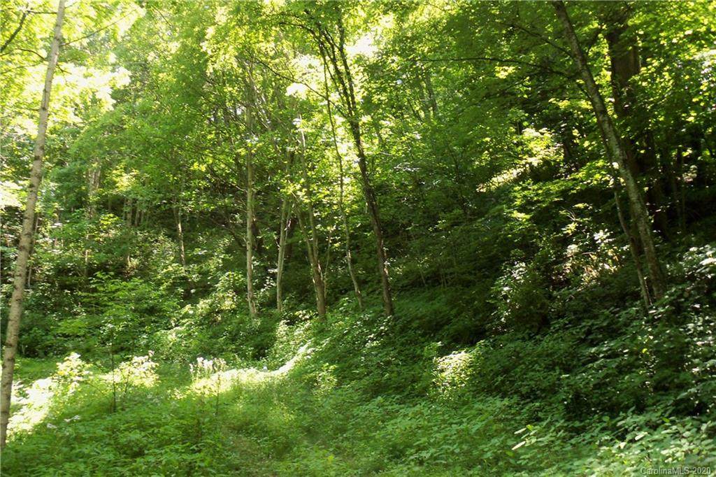 00 Short Ridge Road - Photo 1