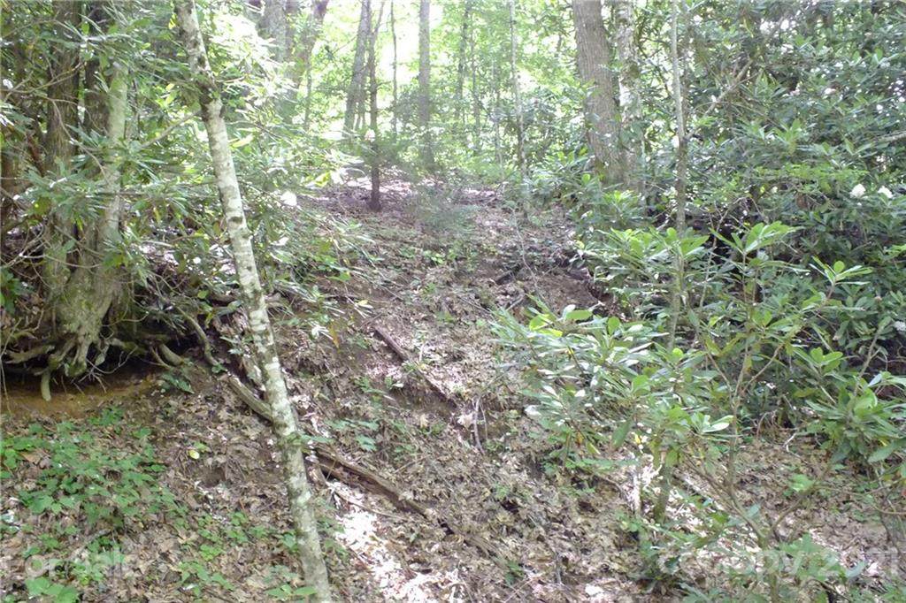 TBD High Hopes Lane - Photo 1