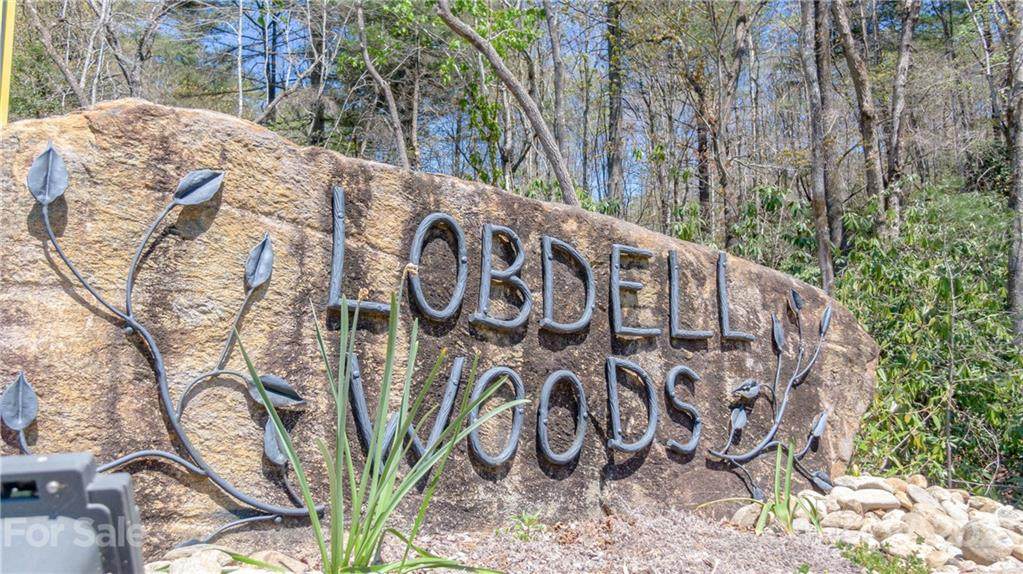 Lot 41 Lobdell Road - Photo 1