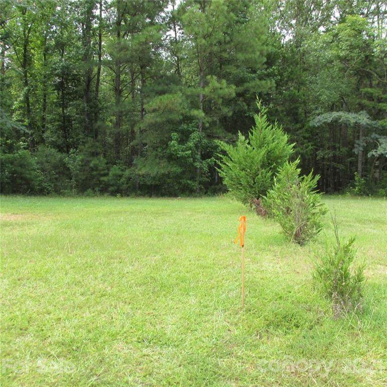 7121 Tirzah Church Road - Photo 1
