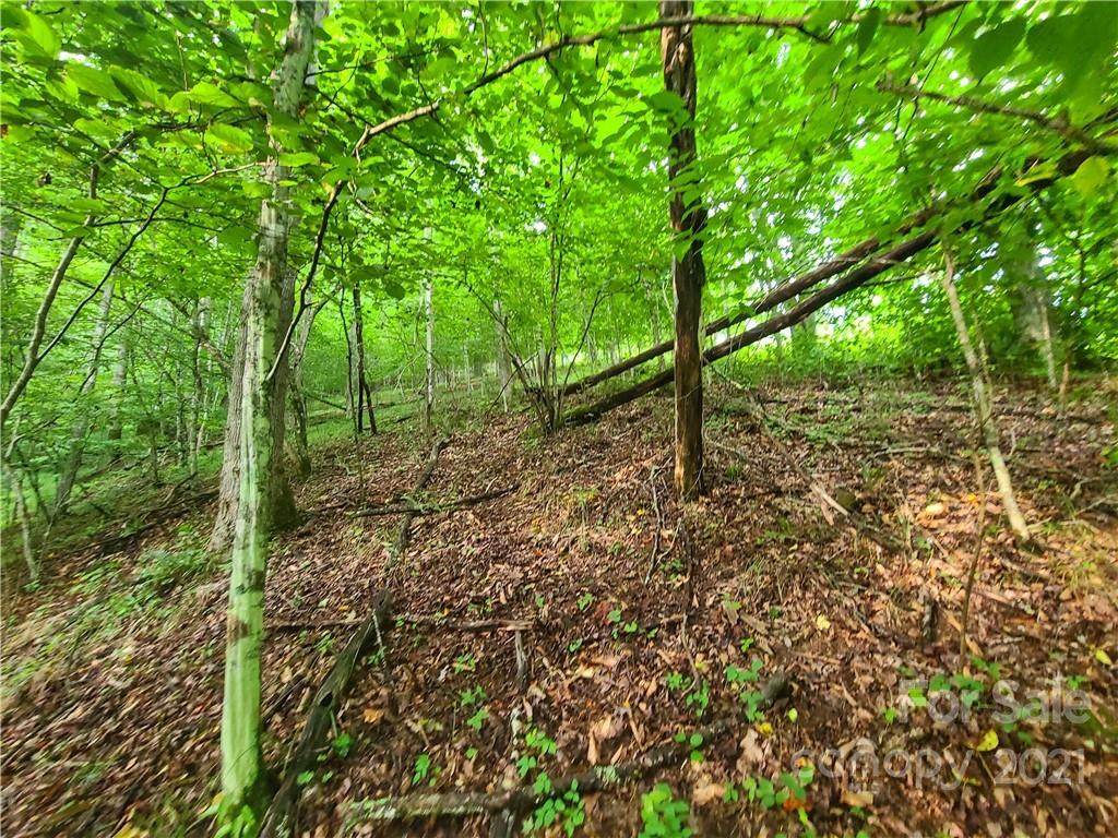 9999 Bent Creek Road - Photo 1