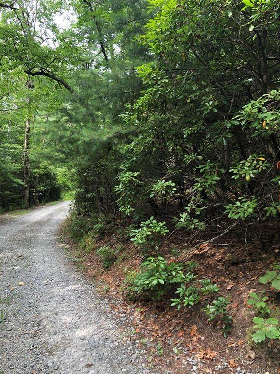 Lot 6A Dogwood Circle - Photo 1