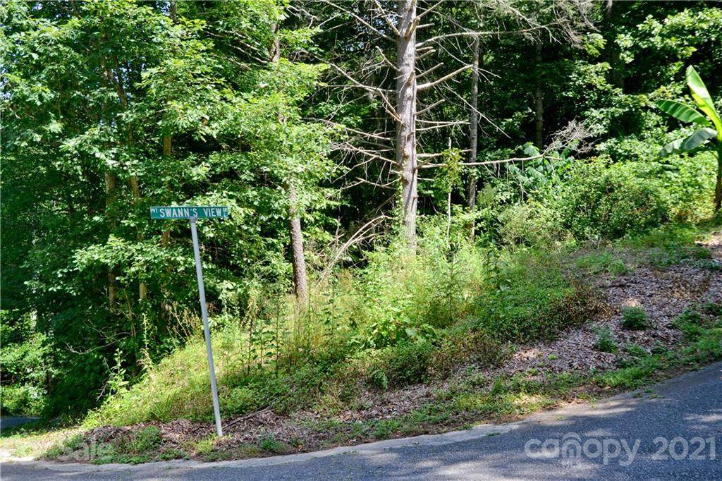 V/L Swanns View Drive - Photo 1