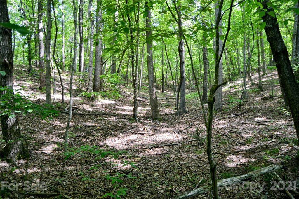 V/L Cottontail Drive - Photo 1